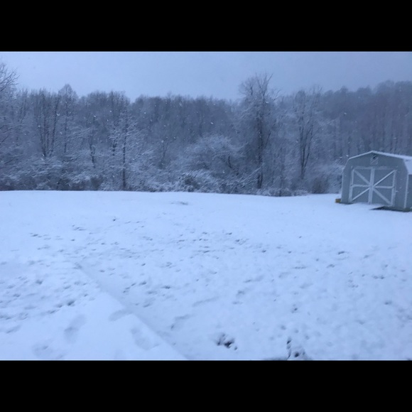 Meet your Posher, Meg - Picture 1 of 1